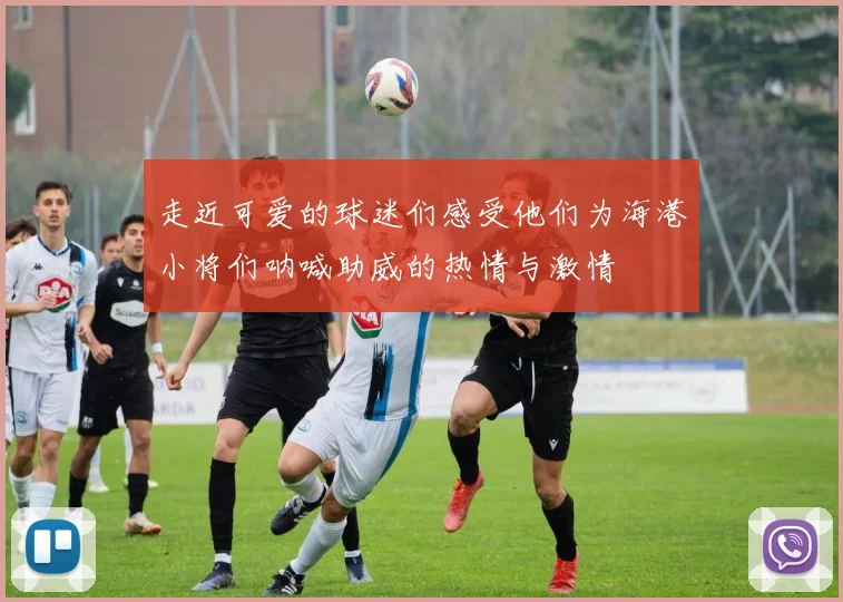 走近可爱的球迷们感受他们为海港小将们呐喊助威的热情与激情
