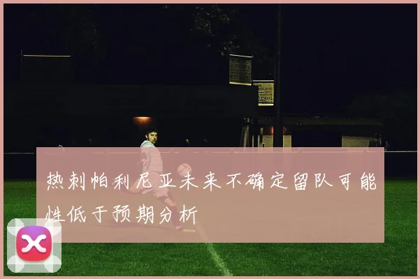 热刺帕利尼亚未来不确定留队可能性低于预期分析