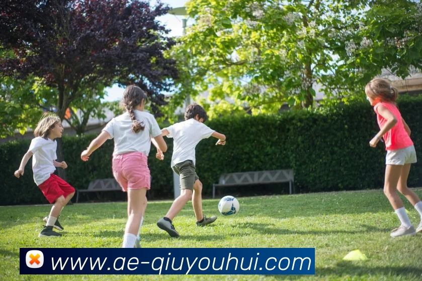 多媒体互动体验